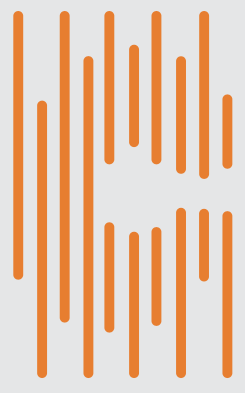 Isologo Cañiflex